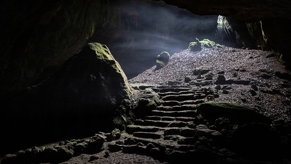 Licht fällt in den Eingang einer Höhle. © picture alliance/dpa | Swen Pförtner Foto: Swen Pförtner