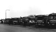 Eine Reihe an alten Bussen auf einem Schwarzweiß-Bild. © SZ-Zeitung 