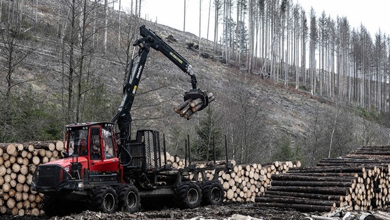 Altenau: Ein Forstfahrzeug verlädt im Kellwassertal Fichtenbaumstämme zum Abtransport. © dpa-Bildfunk Foto: Swen Pförtner