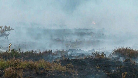 Rauch und Feuer in einem Moorgebiet. © NonstopNews 