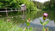 Ein Teich mit Striegelhaus ist in Clausthal-Zellerfeld zu sehen. © picture alliance / dpa | Peter Steffen Foto: Peter Steffen