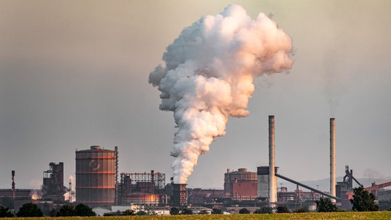 Stahlwerk der Salzgitter AG im Abendlicht. © picture alliance / imageBROKER | Norbert Neetz Foto: Norbert Neetz