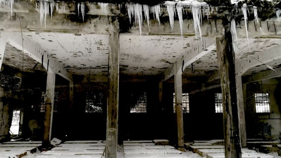 Ruinen der verlassenden Sprengstofffabrik Werk Tanne. © NDR 