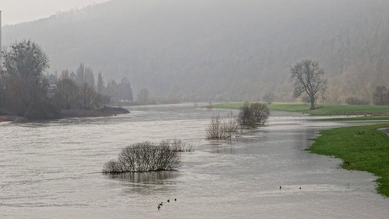 Trübes Wetter bei Hochwasser an der Weser bei Bodenwerder © NDR Foto: Horst Kumpf