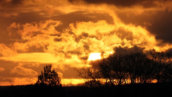 Die Sonne geht golden teilweise von Wolken verdeckt auf. © NDR Foto: Ralph Behrens