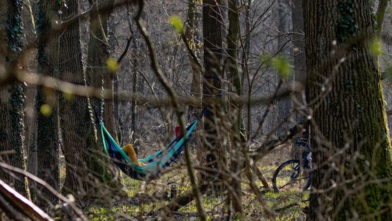 Eine Person liegt in einer Hängematte in einem Wald. © NDR Foto: Klaus Nagel