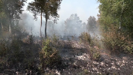 Eine Moorfläche brennt © Nord-West-Media TV 