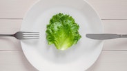 Ein Salatblatt liegt auf einem Teller. © Picture Alliance / Zoonar Foto: Nadezhda Soboleva