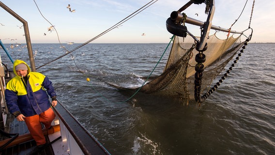 Ein Schleppnetz wird von einem Krabbenkutter aus der Nordsee gezogen. © picture alliance/dpa/Ingo Wagner Foto: Ingo Wagner
