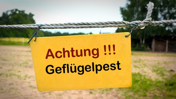 Ein Schild mit der Aufschrift "Achtung Geflügelpest" hängt am Eingang eines Bauernhofes in Deutschland. © picture alliance/Zoonar Foto: Heiko Kueverling