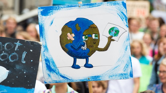 Ein Demonstrant der Bewegung Fridays For Future geht mit einem Plakat mit einer gezeichneten weinenden Erde durch Hannover. © dpa-Bildfunk Foto: Christophe Gateau/dpa