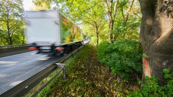 Ein Lkw fährt auf dem Südschnellweg. © picture alliance Foto: Julian Stratenschulte