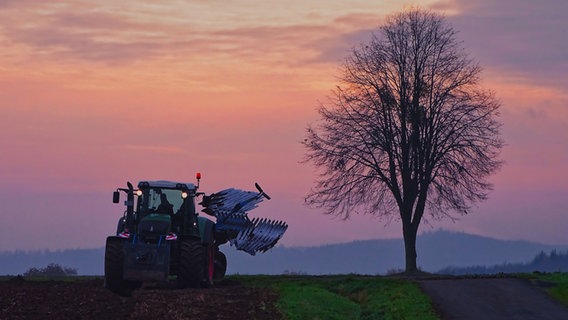 Ein Traktor pflügt im Sonnenaufgang in der Grohnder Feldmark ein Feld. © NDR Foto: Rolf Sander