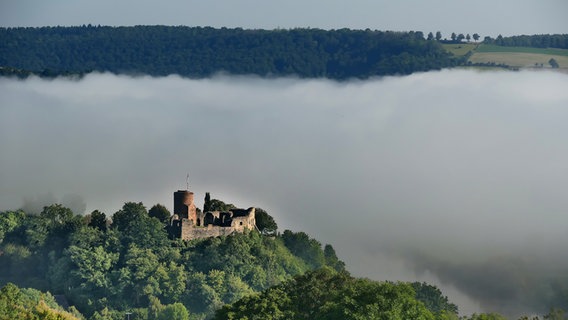 Burg Polle im Weserbergland umringt von hohen Nebelbänken. © NDR Foto: Annette Mokross