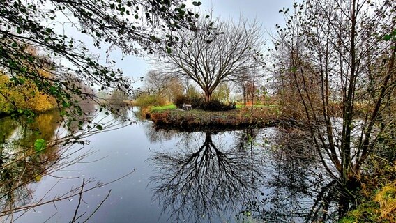 Bäume spiegeln sich in einem See in Steinhude. © NDR Foto: Hans-Werner Dieth
