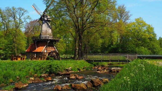 Wind-Wassermühle in der Frühlingssonne. © NDR Foto: Heyo Strenge