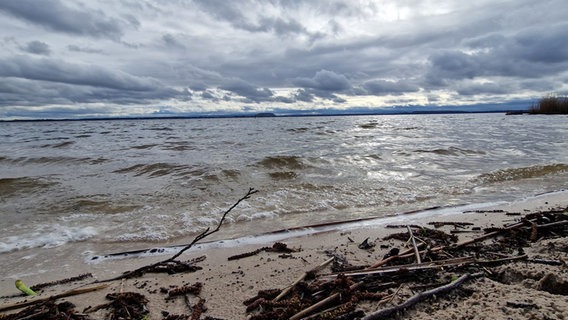 Blick vom Strand auf das Steinhuder Meer. © NDR Foto: Iris Litzke