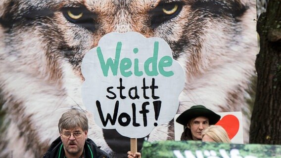 Weidetierhalter demonstrieren vor dem Landtag mit einem Banner: "Weide statt Wolf!" © dpa-Bildunk Foto: Julian Stratenschulte