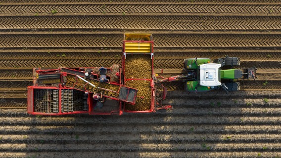 Ein Landwirt erntet mit einem Roder Kartoffeln auf einem Feld (Aufnahme mit einer Drohne). © Philipp Schulze/dpa Foto: Philipp Schulze