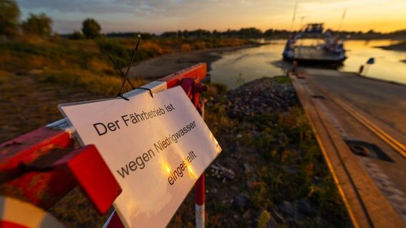 Auf einem Schild am Anleger einer Elbfähre steht der Text "Der Fährbetrieb ist wegen Niedrigwasser eingestellt", im Hintergrund ist eine Fähre zu sehen. © dpa/picture-alliance Foto: Philipp Schulze