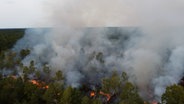 Eine Einsatzkraft der Feuerwehr legt Feuer in der Heide. © DAN-TV 