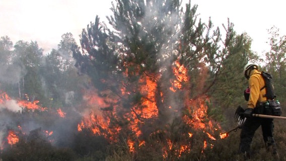 Eine Einsatzkraft der Feuerwehr legt Feuer in der Heide. © DAN-TV 
