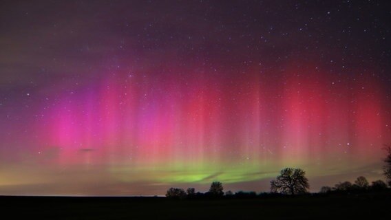 Nordlichter sichtbar in der Niedersächsischen Elbtalaue. © Traute Lutz Foto: NDR