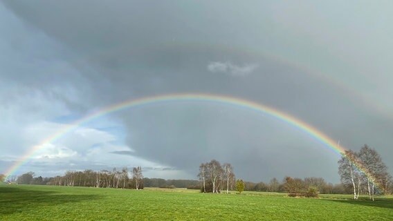 Zwei Regenbögen über einem Feld. © NDR Foto: Franziska Burichter