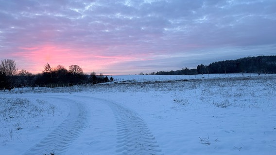 Sonnenaufgang über einem verschneiten Feld. © NDR Foto: Jessica Kalinowski