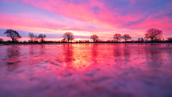 Der Himmel strahlt bei Sonnenaufgang rosa und lila über Wiesen im Heidekreis. © NDR Foto: Michael Ostermann
