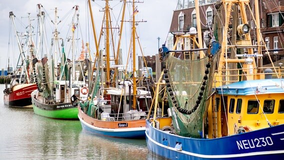 Mehrere Fischkutter liegen im historischen Hafen von Neuharlingersiel an einer Kaimauer. © dpa-Bildfunk Foto: Hauke-Christian Dittrich