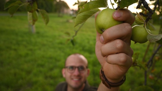 Ein Mann pflückt einen Apfel © Zentrum für Ernährung und Hauswirtschaft Niedersachsen - ZEHN 