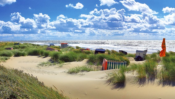 Vereinzelte Strandkörbe stehen in den Dünen der Nordseeinsel Borkum. © Wirtschaftsbetriebe der Stadt NSHB Borkum 