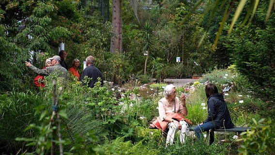 Mehrere Personen im Botanischen Garten Oldenburg. © Universität Oldenburg 