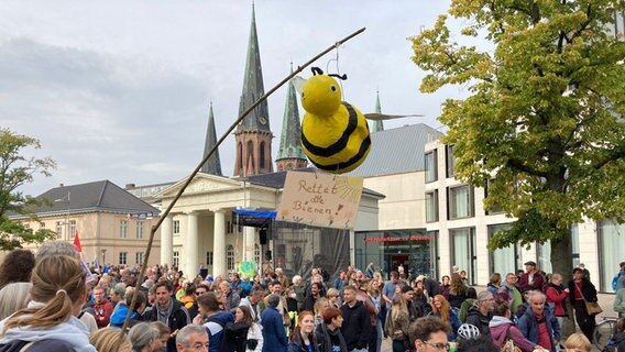 Bei einer Demo in Oldenburg trägt eine Teilnehmerin ein schild mit der Aufschrift "Rettet dei Bienen". © NDR Foto: Marlene Obst