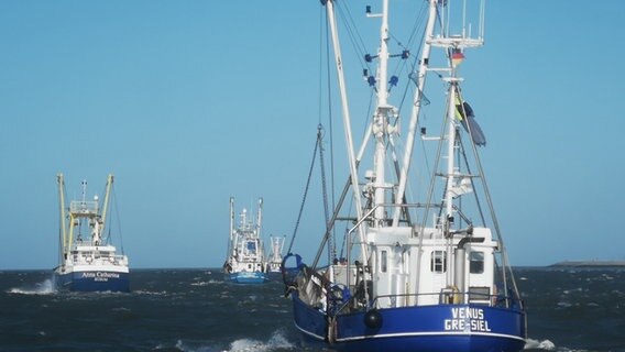 Fischerboote auf der Nordsee. © NDR Foto: Joop Wüsten