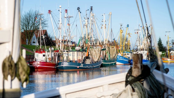 Krabbenkutter stehen im Hafen von Greetsiel. © Picture Alliance Foto: Hauke-Christian Dittrich