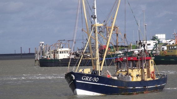 Ein Miesmuschelkutter fährt durch den Hafen in Norddeich. © NDR Foto: Jessika Holzhausen