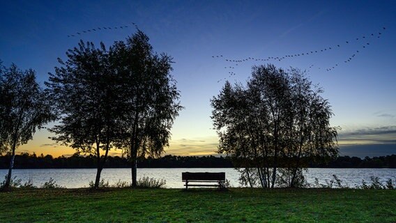 Die Sonne geht am Bockhorster See auf. © NDR Foto: Lorenz Wodzinski