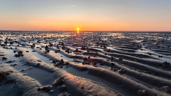 Sonnenuntergang bei Ebbe, Cuxhaven-Duhnen © NDR Foto: Jens Barche