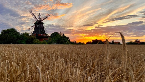 Eine Windmühle steht im Sonnenuntergang im Landkreis Diepholz. © NDR Foto: Petra Quade