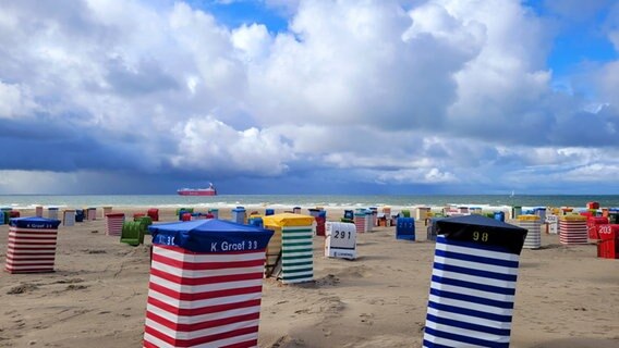 Strandkörbe stehen am sonnigen Strand auf Borkum. © NDR Foto: Melanie Helms