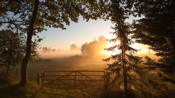 Sonnenaufgang am Ostfrieslandwanderweg in Ogenbargen. © NDR Foto: Folkert Christoffers