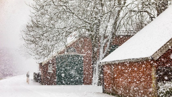 Dichter Schnee fällt über einem Haus. © NDR Foto: Sebastian Vogt