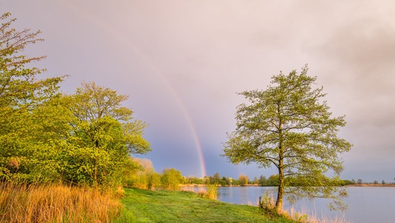 Ein Regenbogen über den Erlensee bei Stapelmoor. © NDR Foto: Thomas Heyen