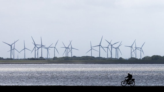 Fahrradfahrer fahren mit ihren Fahrrädern über einen Deich am Meer - im Hintergrund drehen sich Windräder. © picture alliance/dpa/Rolf Vennenbernd Foto: Rolf Vennenbernd
