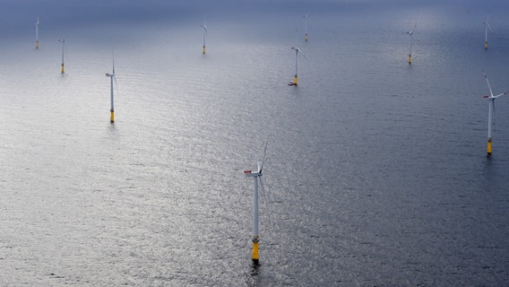 Windräder drehen sich im Offshore-Windpark Borkum Riffgrund 1 bei Borkum. © dpa Foto: Carmen Jaspersen