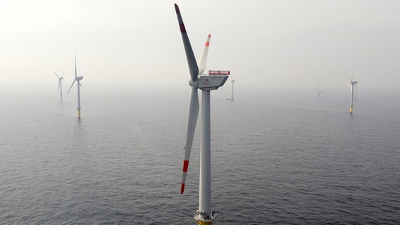 Eine Luftaufnahme zeigt einen Offshore-Windpark im Meer. © dpa-Bildfunk Foto: Ingo Wagner