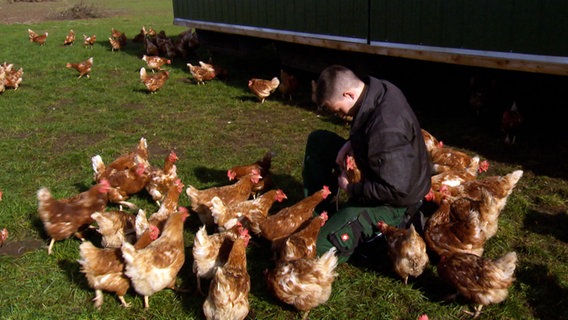 Landwirt Michel Cordes sitzt zwischen seinen Hühnern. © NDR 