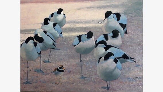 Ein Gemälde von Zugvögeln © NDR Foto: Jutta Przygoda